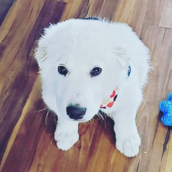 Meet your Posher, Humberto - Picture 1 of 1